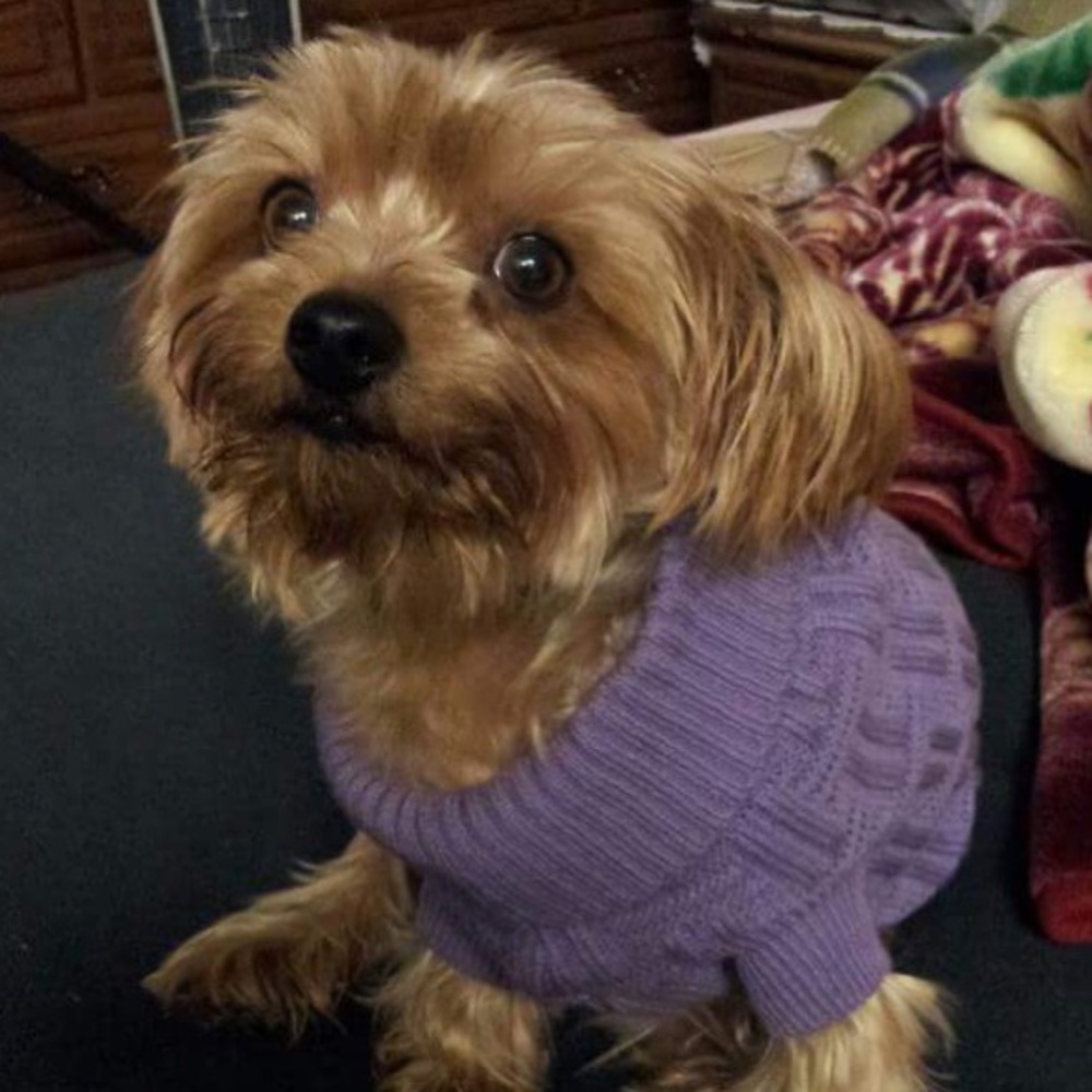 Meet your Posher, Madeline