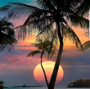 Meet your Posher, C.