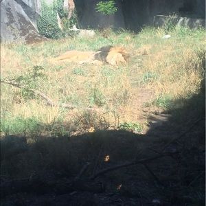 Meet your Posher, Abdi