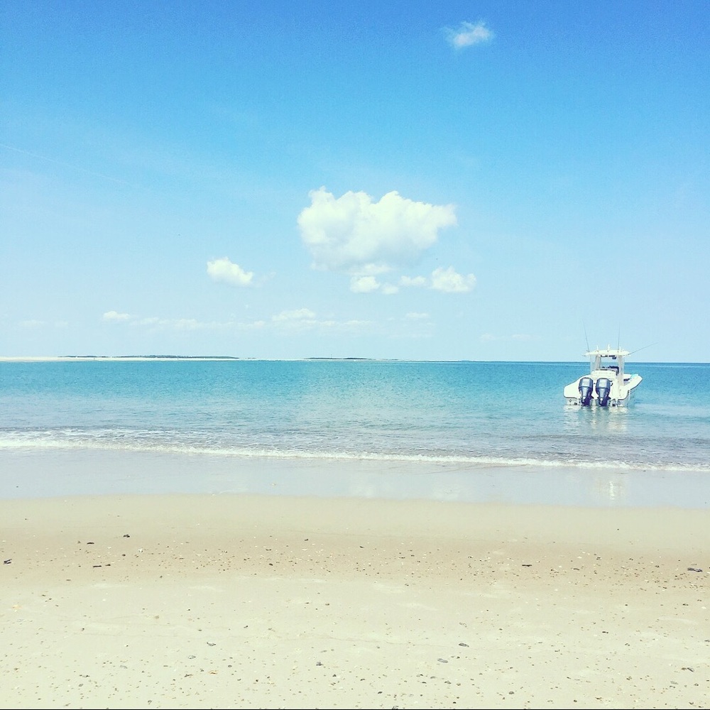 Meet your Posher, Millie