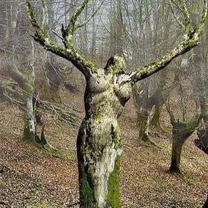 Meet your Posher, Lynda