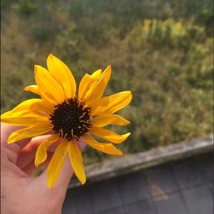 Meet your Posher, Emma