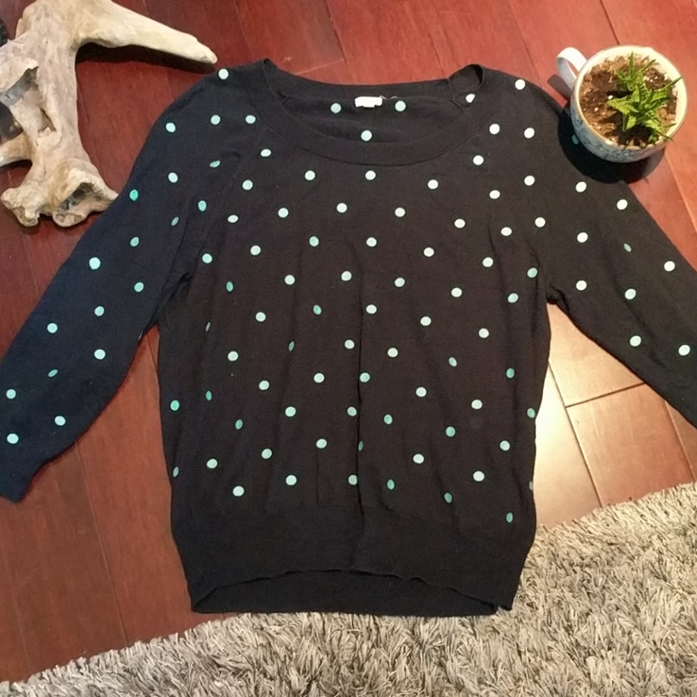 J. Crew Polk a Dot Sweater - BNWOT