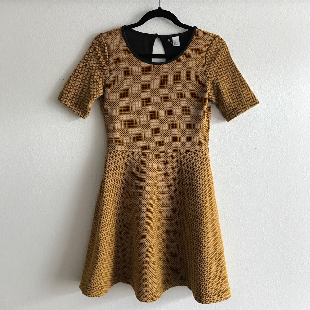 H&M Skater Dress
