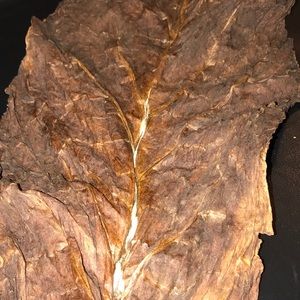 Meet your Posher Nox