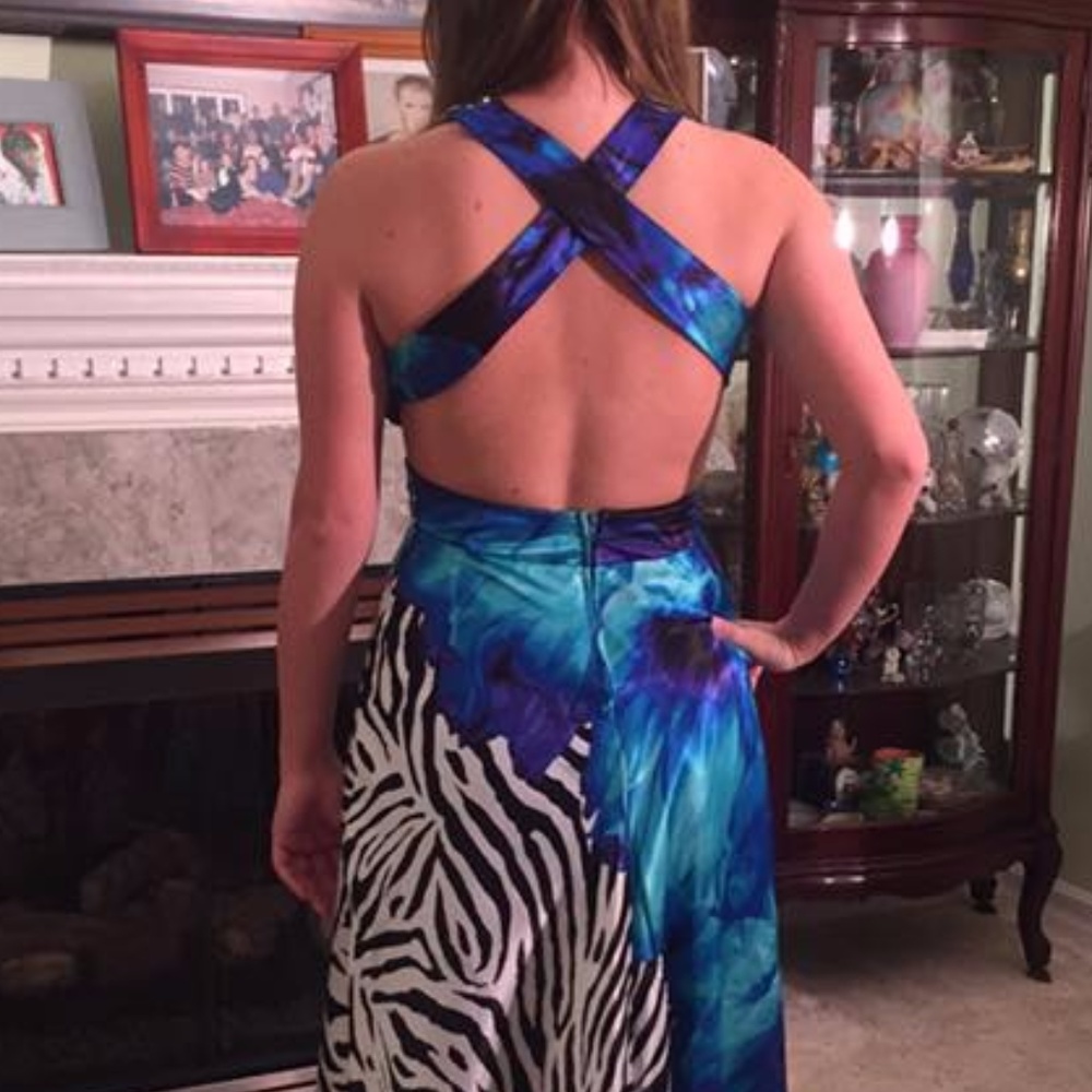 Formal Multi Color And Zebra Print - image 4