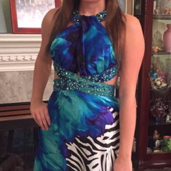 Formal Multi Color and Zebra Print - Picture 3 of 4