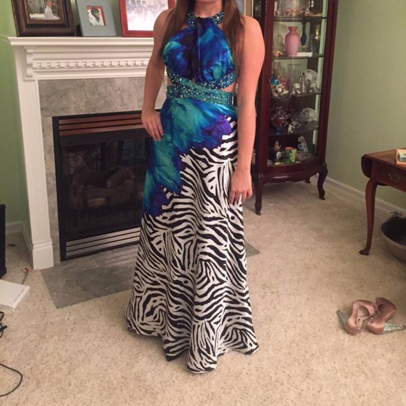 Formal Multi Color and Zebra Print - Picture 1 of 4