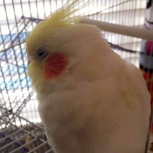 Meet your Posher, Alexandra