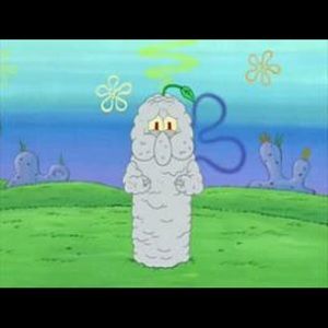 Meet your Posher, Bridgette