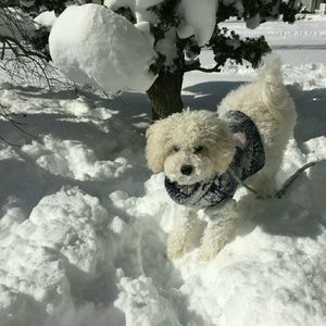 Meet your Posher, Jenny