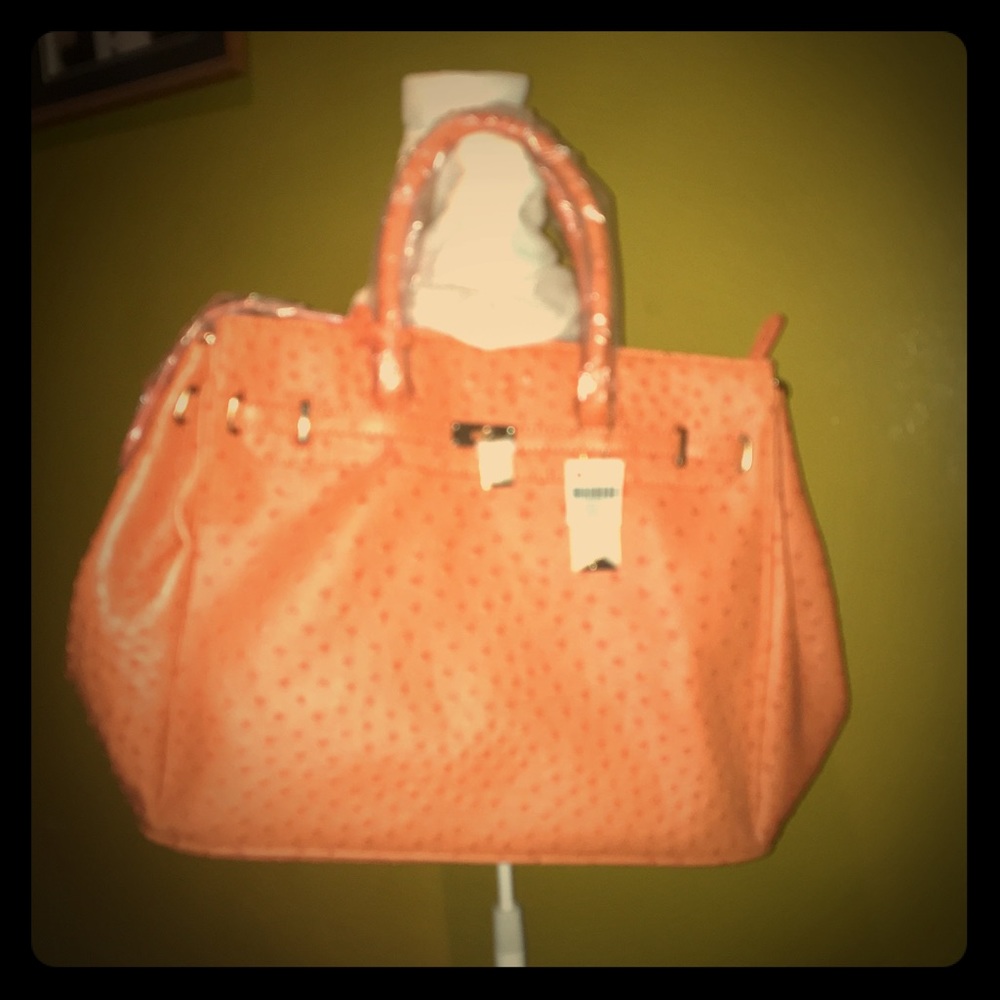 Beautiful Penelope Ann Satchel Style Handbag