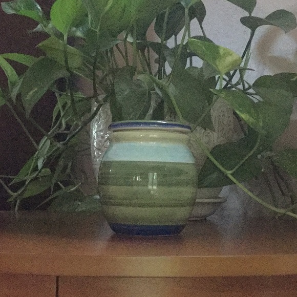 Other - NWOT Lovely hand painted vase