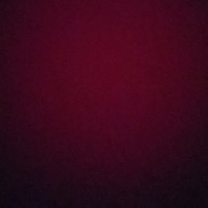 Shipping label for aly