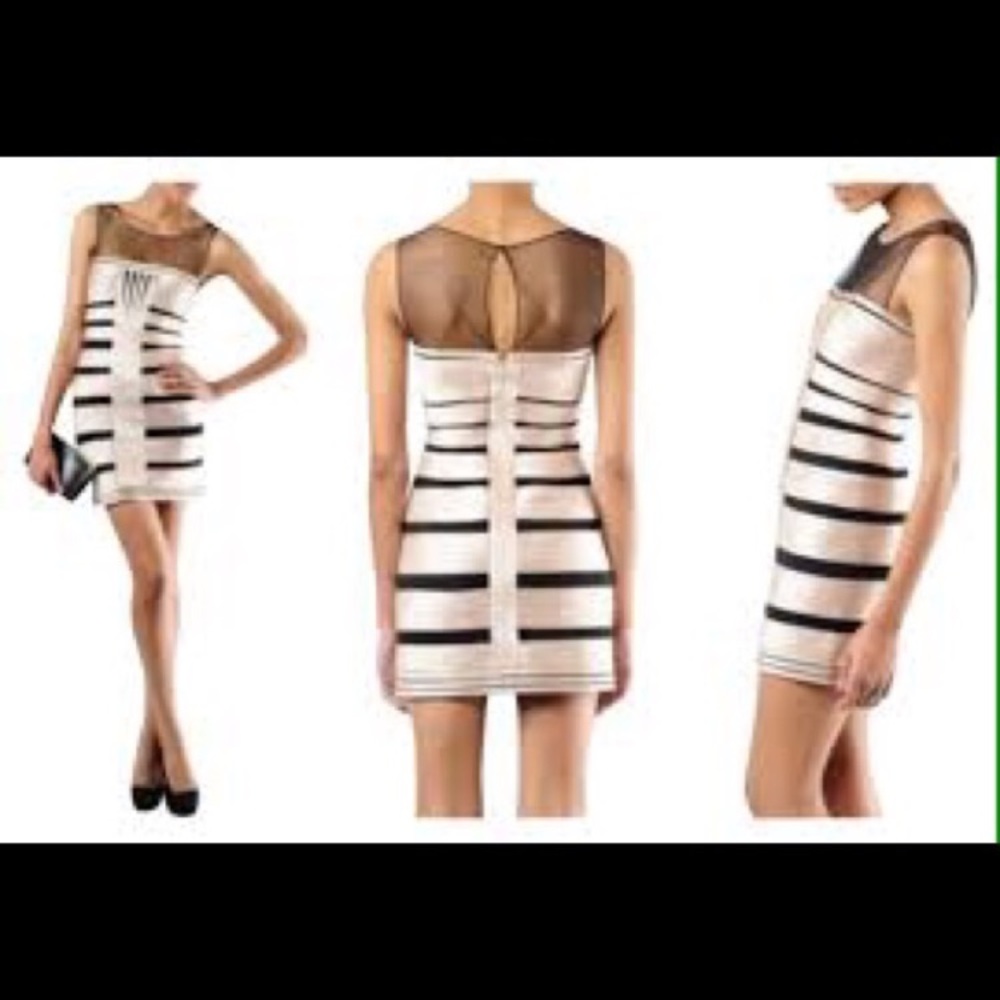 BCBG Fitted Bandage Style Dress