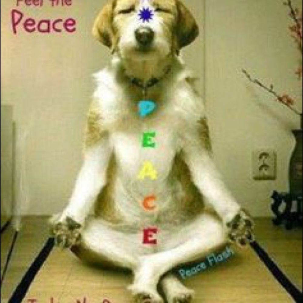 $5 off returning calm poshers