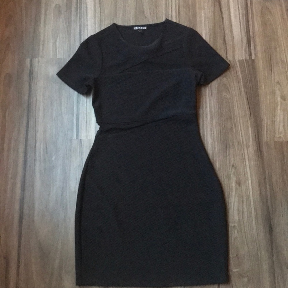 Express Mesh Bodycon dress