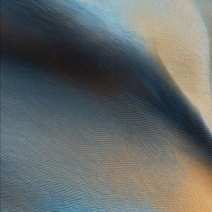 Meet your Posher, Patsy