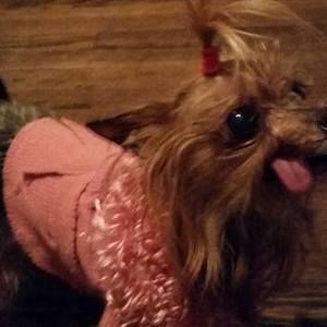 Meet your Posher, Darlene