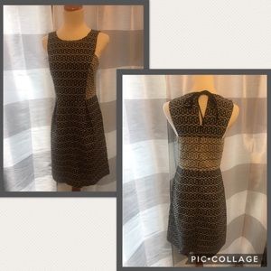 Loft navy and tan print dress