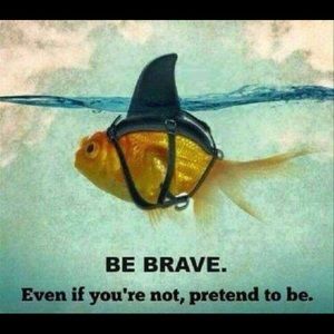 Meet your Posher, Aubrey