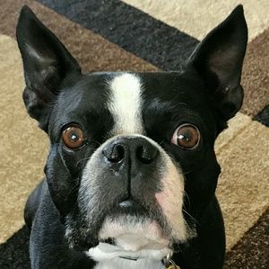 Meet your Posher, Beth