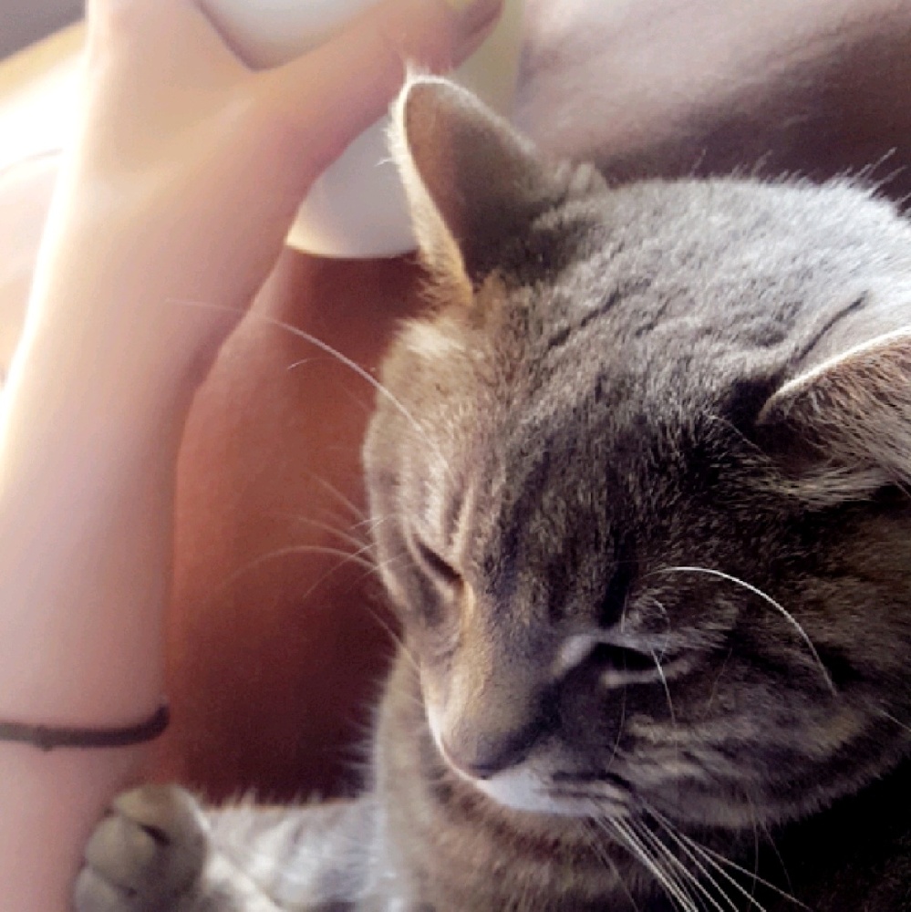 Meet your Posher, Nicole