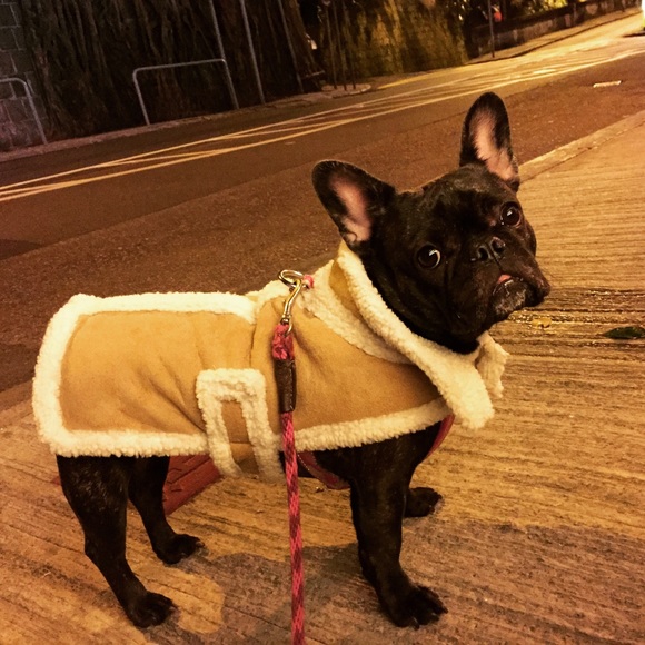 Meet your Posher, Jenn - Picture 2 of 5