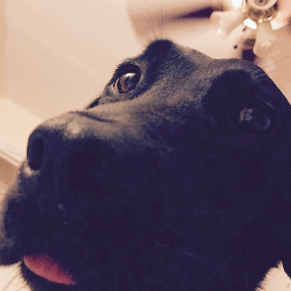 Meet your Posher, Mandy