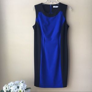 Calvin Klein Dress Size 10