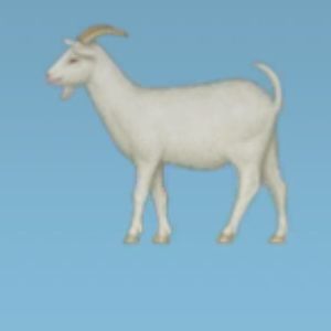 Meet your Posher, Adam