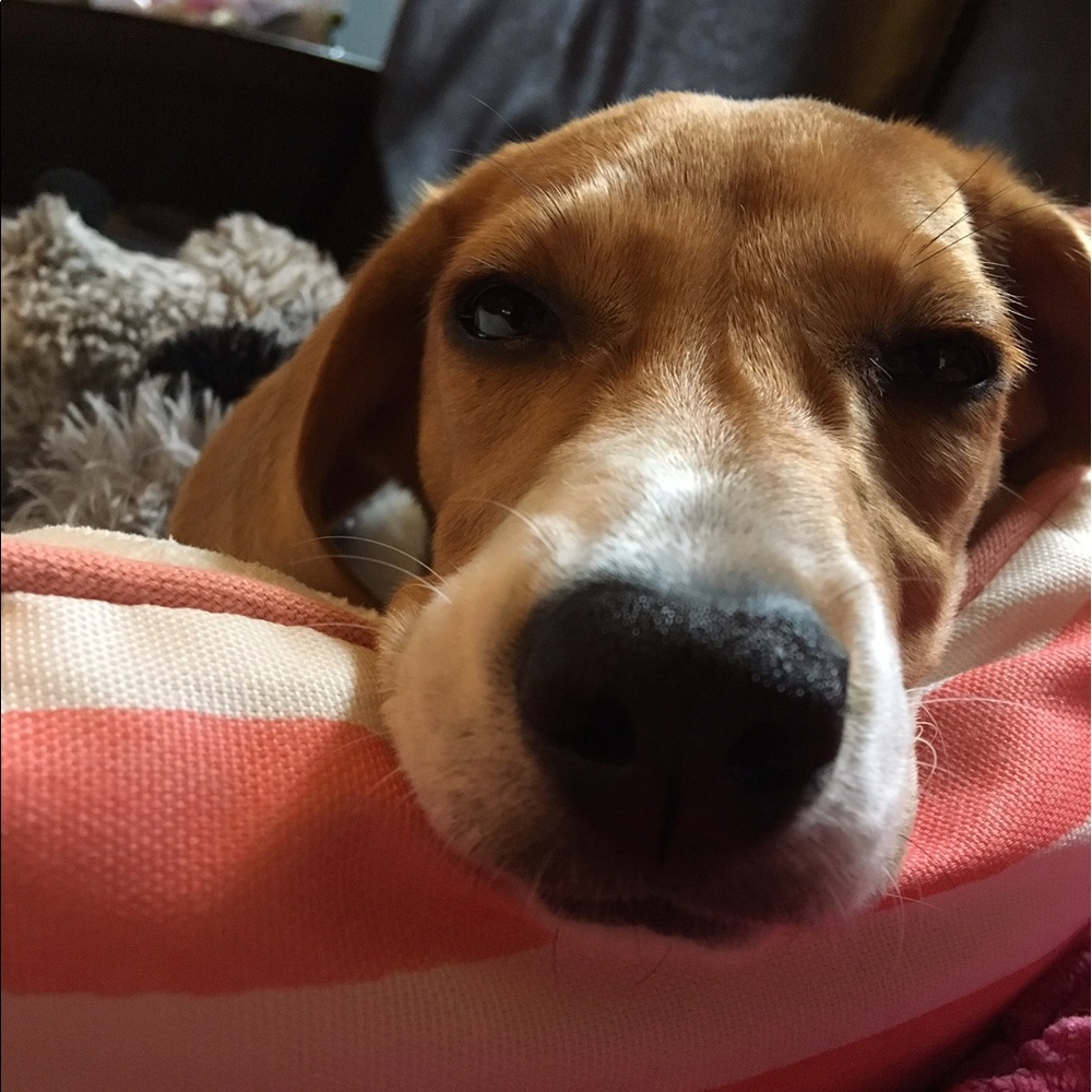 Meet your Posher, Jana