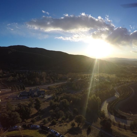 Meet your Posher, George - Picture 1 of 1