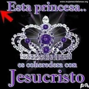 Meet your Posher, Terry