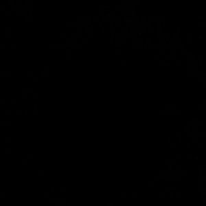 Meet your Posher, Corina