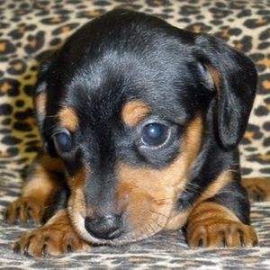 Meet your Posher, Beth