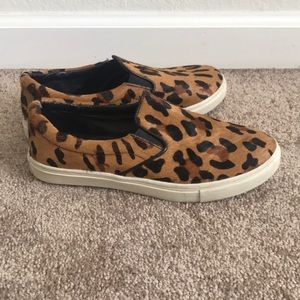 Steve Madden Fashion Sneaker