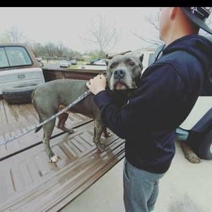 Meet your Posher, Mike