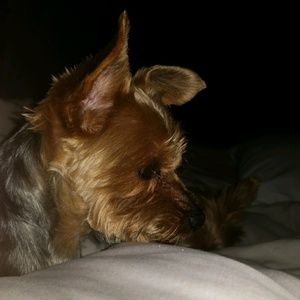 Meet your Posher, Claudia