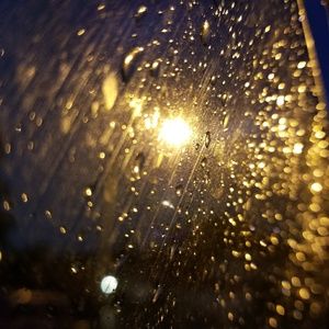 Meet your Posher, Adam