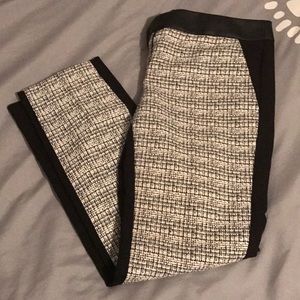 Express columnist ankle dress pants