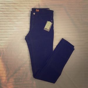 Anthropologie Pilcro Serif cords