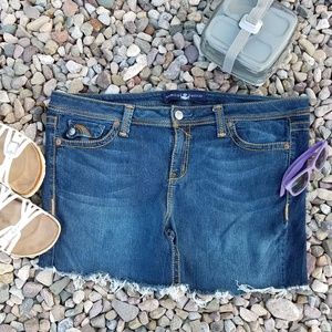 Source of Wisdom Denim/Jean Shorts