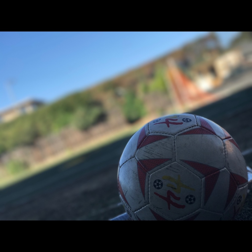 Meet your Posher, Leo