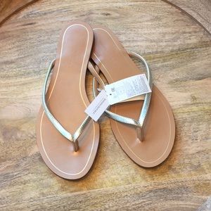 Banana Republic - Gold Flip Flops