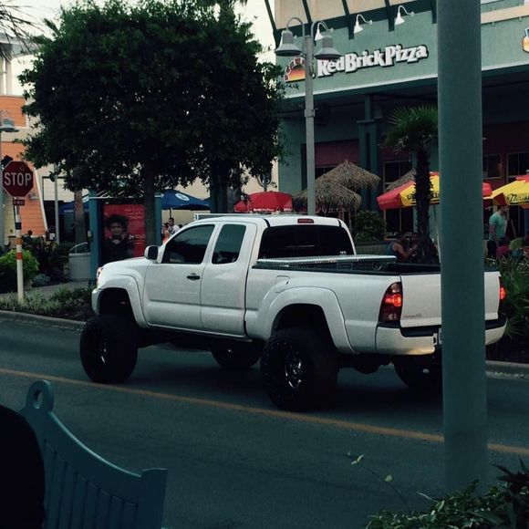 Meet your Posher, Jake - Picture 1 of 1