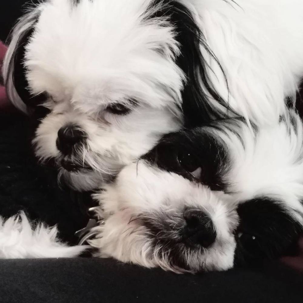 Meet your Posher, Sherry