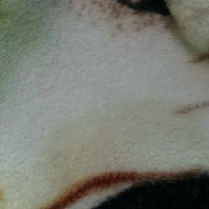 Meet your Posher, Art