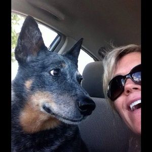 Meet your Posher, Susan