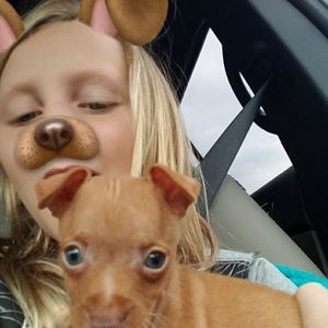 Meet your Posher, Valada